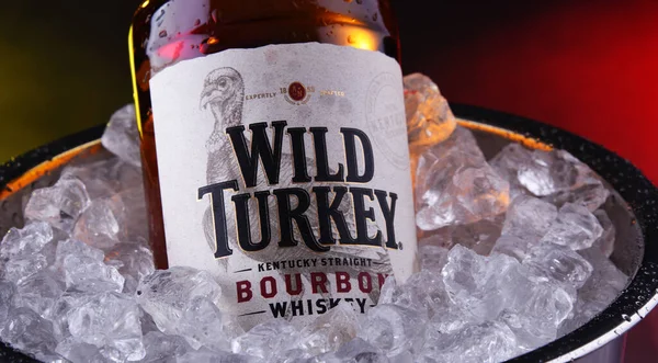 Wild Turkey Kentucky düz bourbon viski şişe — Stok fotoğraf