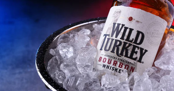 Wild Turkey Kentucky düz bourbon viski şişe — Stok fotoğraf