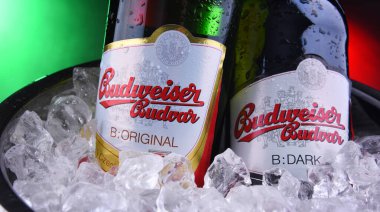 Budweiser Budvar bira şişesi