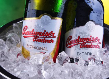 Budweiser Budvar bira şişesi