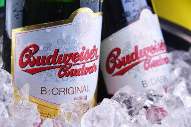 Budweiser Budvar bira şişesi