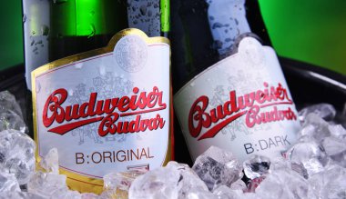 Budweiser Budvar bira şişesi