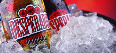 Bir şişe Desperados birası ve ezilmiş buz.