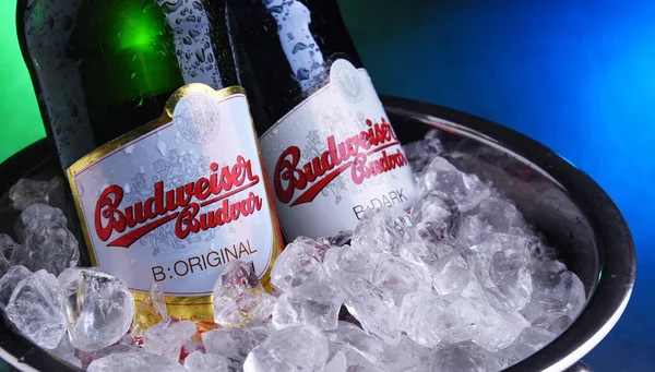 Garrafas De Cerveja De Desperados No Balde Com Gelo Esmagado