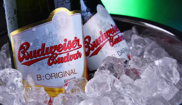 Budweiser Budvar bira şişesi