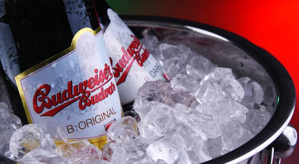 Budweiser Budvar bira şişesi