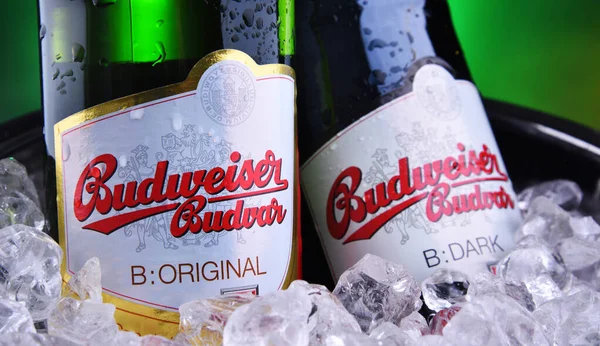 Flessen van Budweiser Budvar bier — Stockfoto