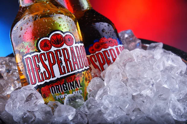 Bottles of Desperados beer in bucket with crushed ice — ストック写真