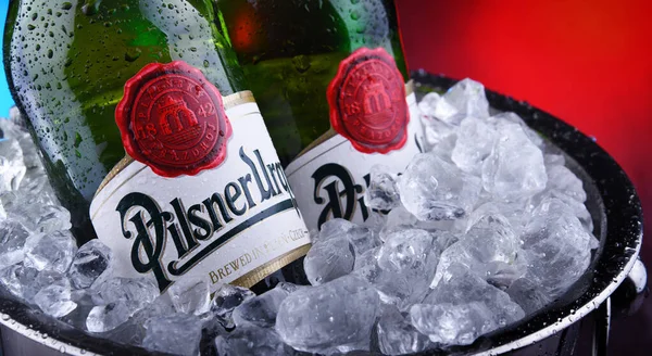 Flessen Pilsner Urquell bier in emmer met gemalen ijs — Stockfoto