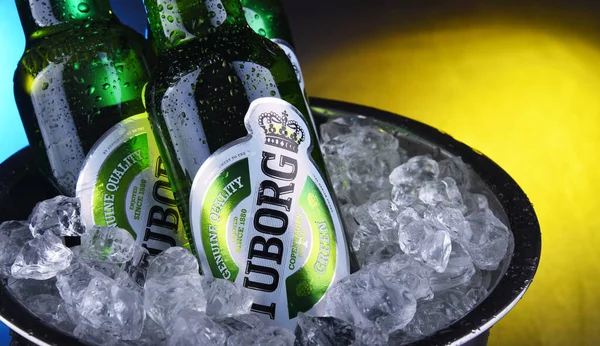 Botellas de cerveza Tuborg en cubo con hielo picado —  Fotos de Stock