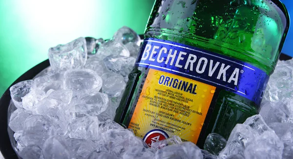 Bottle of Becherovka bitters in bucket with crushed ice — Stock Photo, Image
