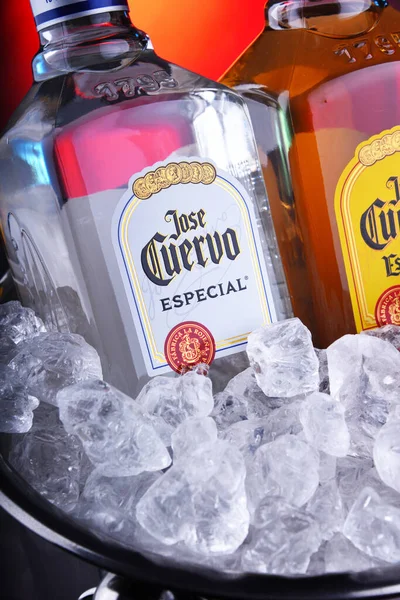 Garrafas de tequila Jose Cuervo em balde com gelo picado — Fotografia de Stock