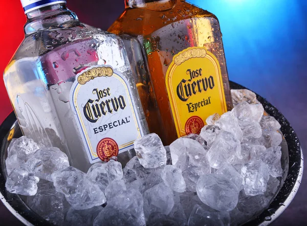 Botellas de tequila Jose Cuervo en cubo con hielo picado —  Fotos de Stock