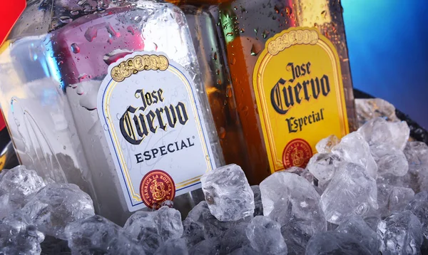 Μπουκάλια τεκίλα Jose Cuervo σε κουβά με θρυμματισμένο πάγο — Φωτογραφία Αρχείου