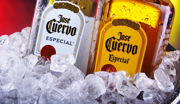 Flaschen Tequila Jose Cuervo im Eimer mit Crushed Ice — Stockfoto