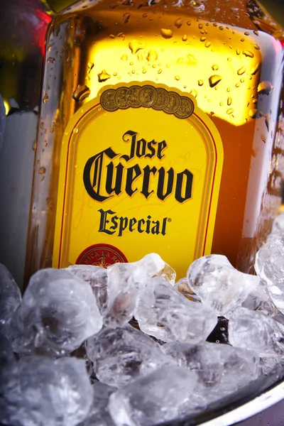 Bottles of  tequila Jose Cuervo in bucket with crushed ice — Stock Photo, Image