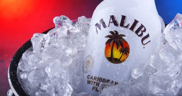 Sticlă de rom din Malibu Caraibe în găleată cu gheață — Fotografie, imagine de stoc
