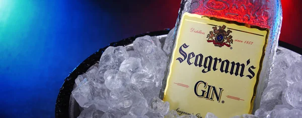 Egy üveg Seagrams Gin vödörben zúzott jéggel — Stock Fotó