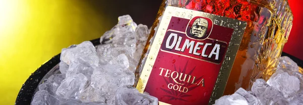 Botella de Tequila Olmeca Oro en cubo con hielo picado —  Fotos de Stock