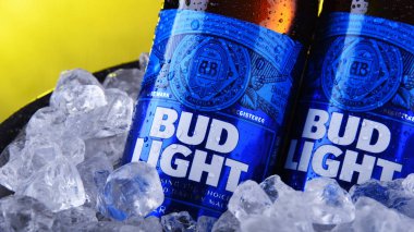 Ezilmiş buz ile kova Bud Light bira Şişeleri