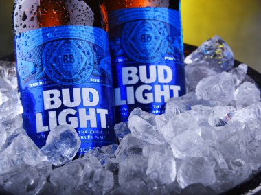 Ezilmiş buz ile kova Bud Light bira Şişeleri