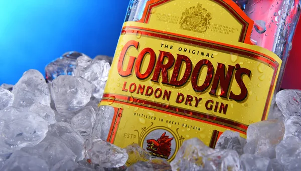 Bottle of Gordon's London Dry gin in bucket with crushed ice — Stock Photo, Image