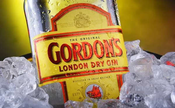 으깬 얼음을 든 양동이에 고든의 런던 드라이 진 한 병 — 스톡 사진