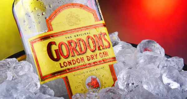 Μπουκάλι του Γκόρντον Λονδίνο ξηρό τζιν σε κουβά με θρυμματισμένο πάγο — Φωτογραφία Αρχείου