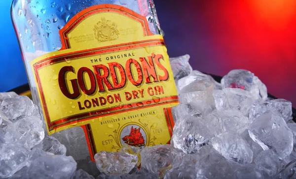 Bouteille de gin sec London de Gordon dans un seau avec de la glace concassée — Photo