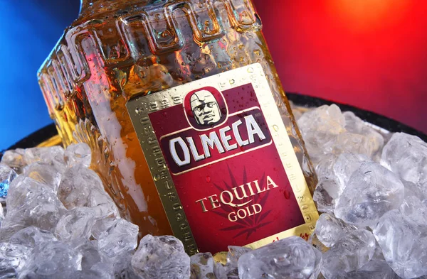 Botella de Tequila Olmeca Oro en cubo con hielo picado —  Fotos de Stock