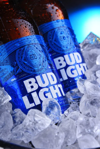 Bottles of Bud Light beer in bucket with crushed ice — Stock Photo, Image