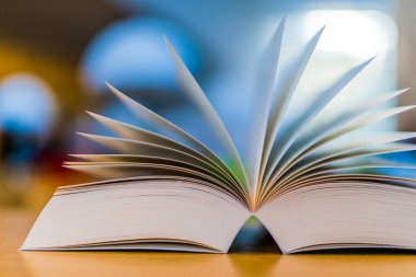 Kütüphanede masada yalan Defteri'ni açar