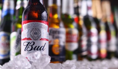 Ünlü küresel bira markalarının şişe