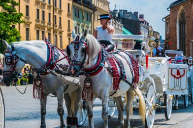 Polonya, Krakow 'daki ana meydanda at arabaları
