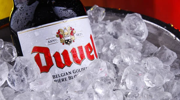 Bottiglia di birra Duvel in secchio con ghiaccio tritato — Foto Stock