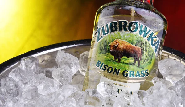 Butelka wódki Zubrovaka (Bison Grass) — Zdjęcie stockowe