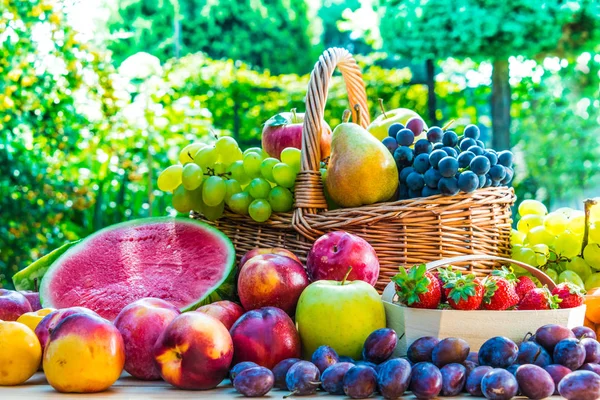 Variedad de frutas frescas maduras en el jardín . — Foto de Stock