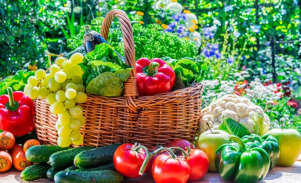 Varietà di frutta e verdura fresca biologica in giardino — Foto Stock