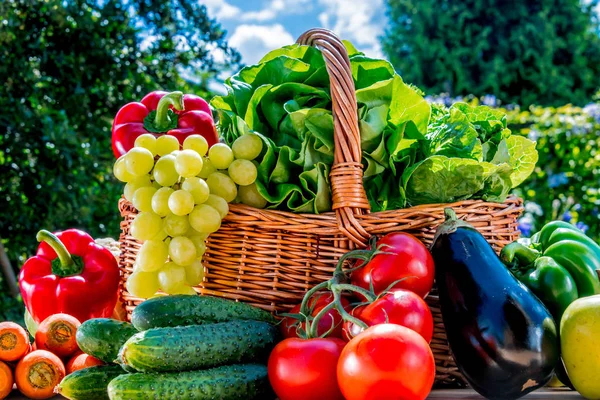 Variedade de vegetais orgânicos frescos e frutas no jardim — Fotografia de Stock