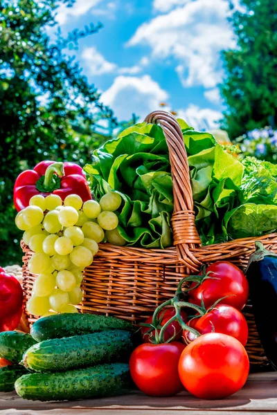 Mängd färska ekologiska grönsaker och frukter i trädgården — Stockfoto