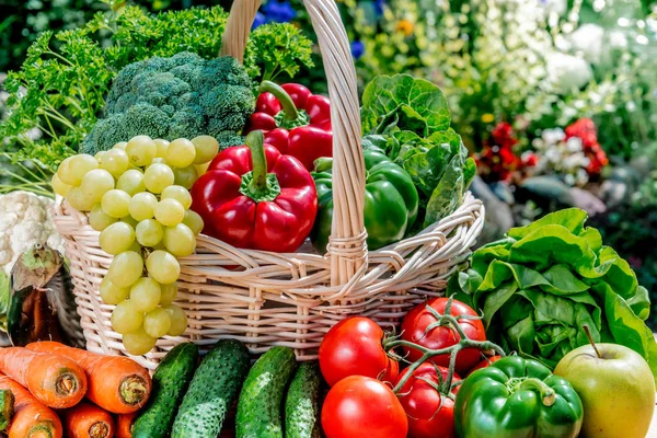 Scala aan verse biologische groenten en fruit in de tuin — Stockfoto