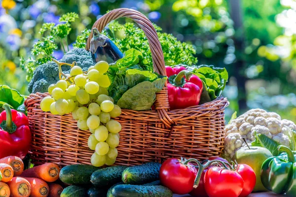 Variedad de verduras y frutas orgánicas frescas en el jardín —  Fotos de Stock