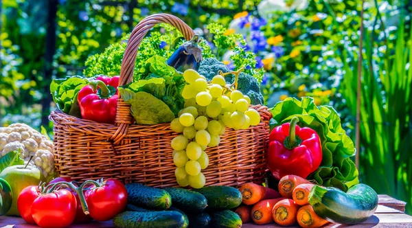 Variedad de verduras y frutas orgánicas frescas en el jardín — Foto de Stock