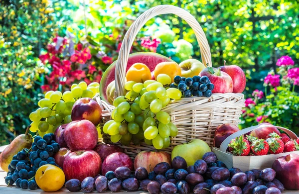 Różnorodność świeżych dojrzałych owoców w ogrodzie. — Zdjęcie stockowe