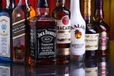 Çeşitli küresel içki markaları şişe