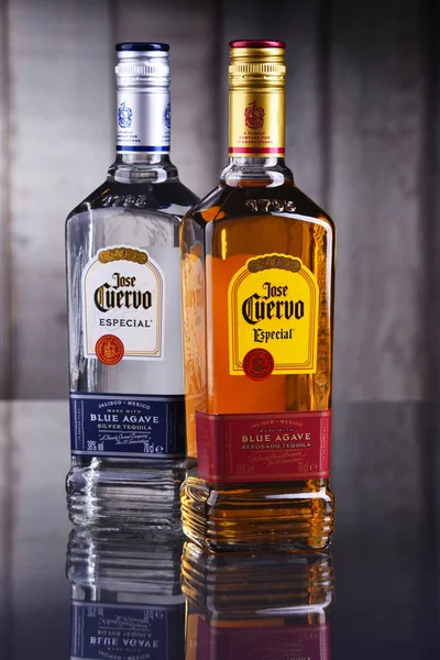 Bottles of Jose Cuervo tequila — 스톡 사진