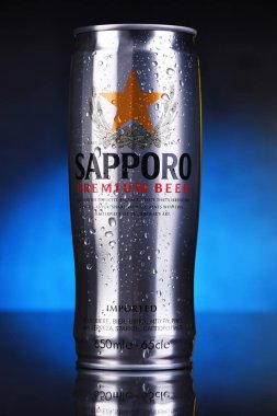 Bir kutu Sapporo birası
