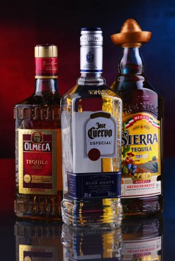 Poznan, Pol - 29 Ocak 2020: Jose Cuervo, Olmeca ve Sierra da dahil olmak üzere en çok satan küresel tekila markaları şişeleri