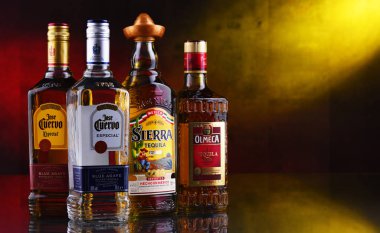 Poznan, Pol - 29 Ocak 2020: Jose Cuervo, Olmeca ve Sierra da dahil olmak üzere en çok satan küresel tekila markaları şişeleri