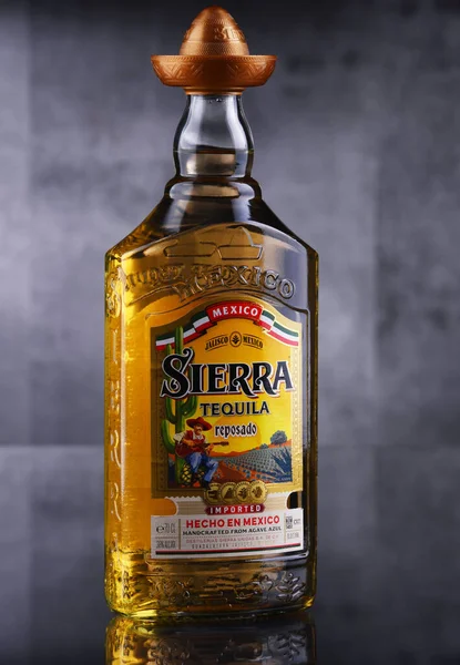 Poznan Pol Ene 2020 Botella Sierra Tequila Una Marca Licor —  Fotos de Stock